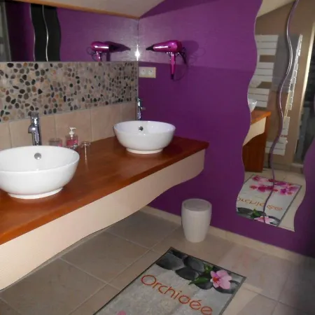 Le Moulin De Mayence 3* Plazac