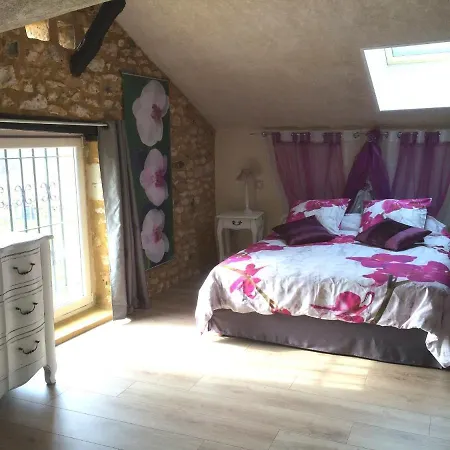 Le Moulin De Mayence Bed & Breakfast Plazac