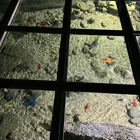 Le Moulin De Mayence