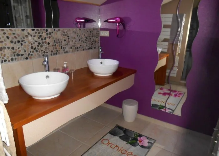 Le Moulin De Mayence 3* Plazac