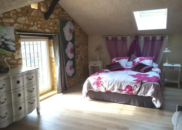 Le Moulin De Mayence Bed & Breakfast Plazac