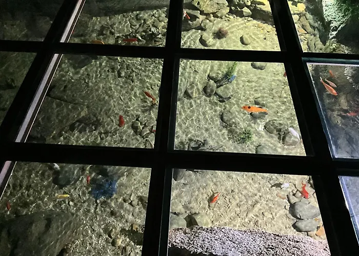 Le Moulin De Mayence